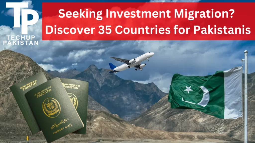 Investment Migration