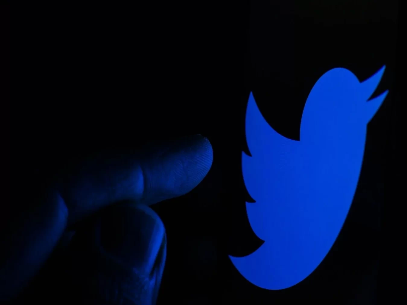 Twitter Bans Over 11 Lakh Accounts in India